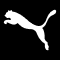 Puma icon